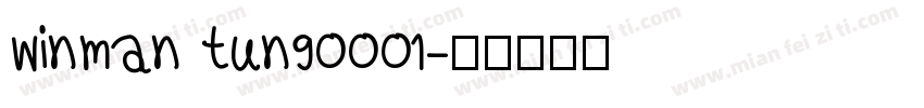 winman tun90001字体转换